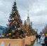 Новогодняя ель Тверской области украсила ВДНХ на Международной выставке «Россия» - Зубцовская жизнь
