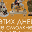 Международный день защиты детей, Фестиваль мороженого, выставки живописи и декоративно-прикладного творчества: жителей и гостей Тверской области приглашают на культурные мероприятия - Зубцовская жизнь